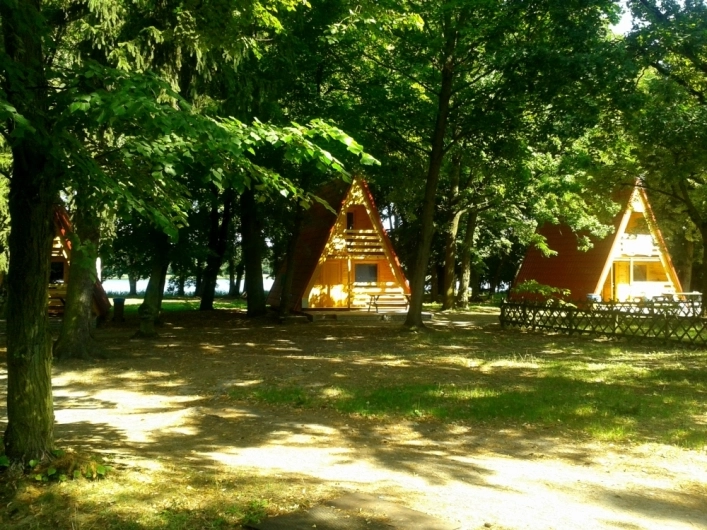 Galeria - zdjęcie 5