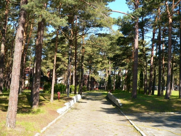 Galeria - zdjęcie 16