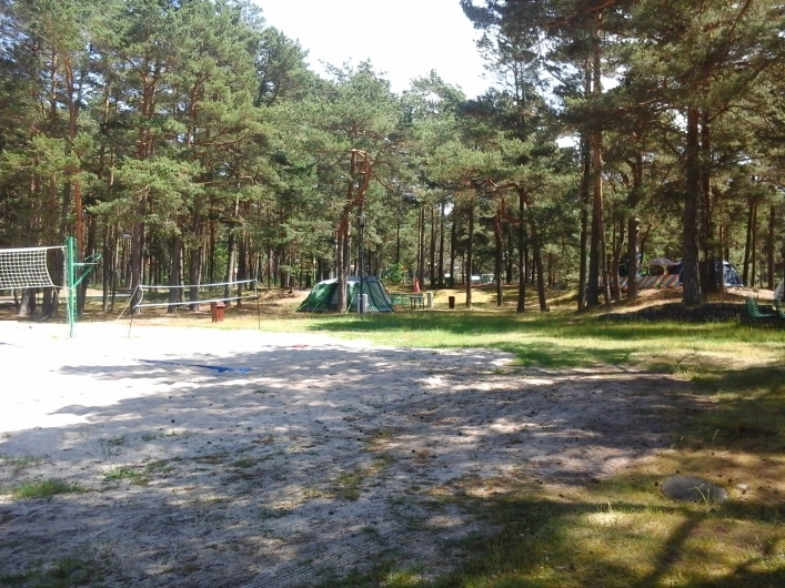 Galeria - zdjęcie 15