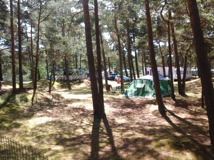 Galeria - zdjęcie 13