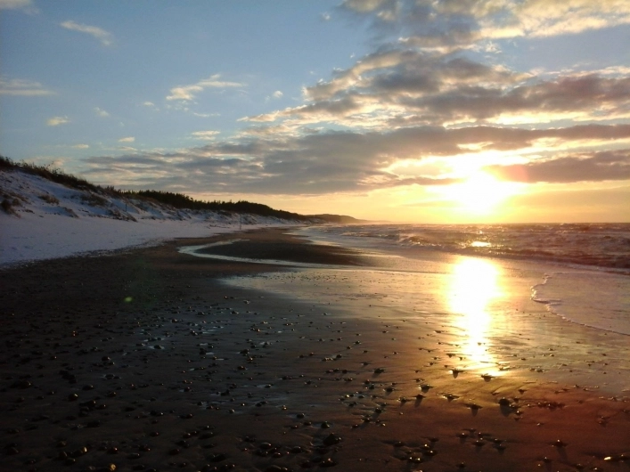 Galeria - zdjęcie 11