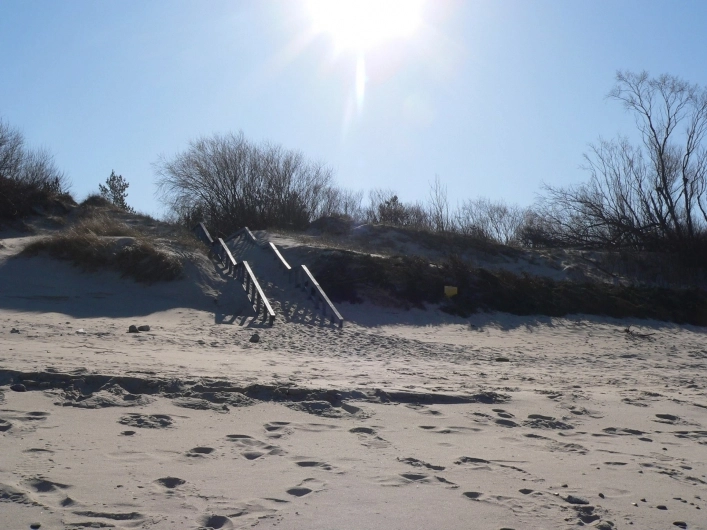 Galeria - zdjęcie 9