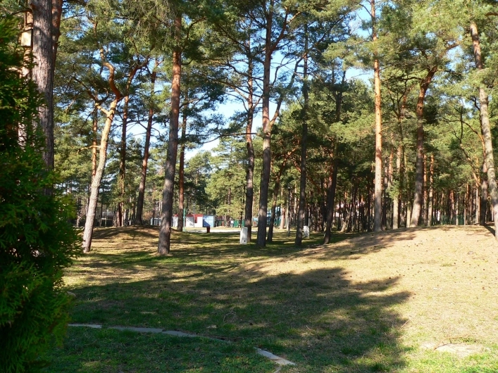 Galeria - zdjęcie 6