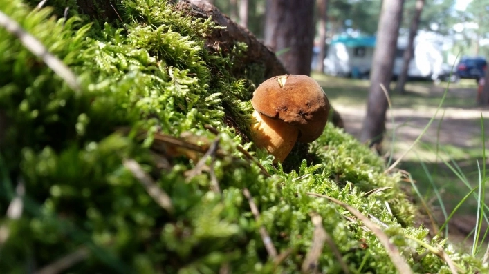 Galeria - zdjęcie 4