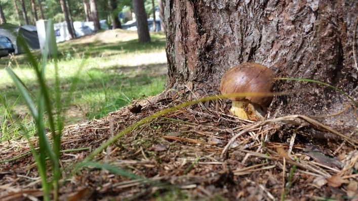 Ośrodek wypoczynkowy NAVIGATOR (dawny Energetyk)  - zdjęcie 2