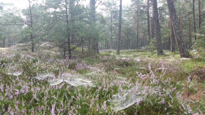 Galeria - zdjęcie 2