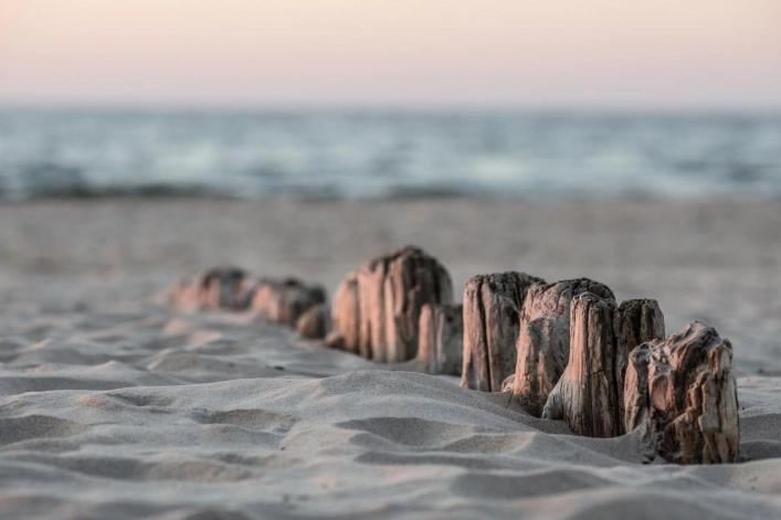 Galeria - zdjęcie 31