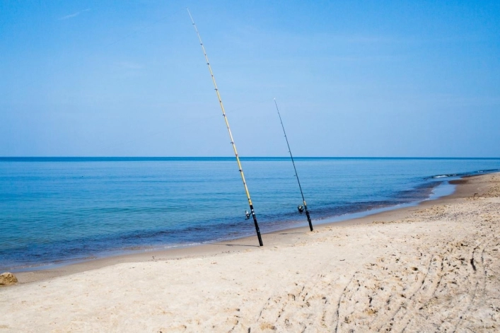 Galeria - zdjęcie 27