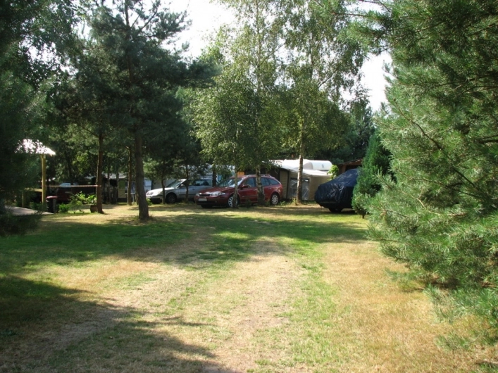 Galeria - zdjęcie 23