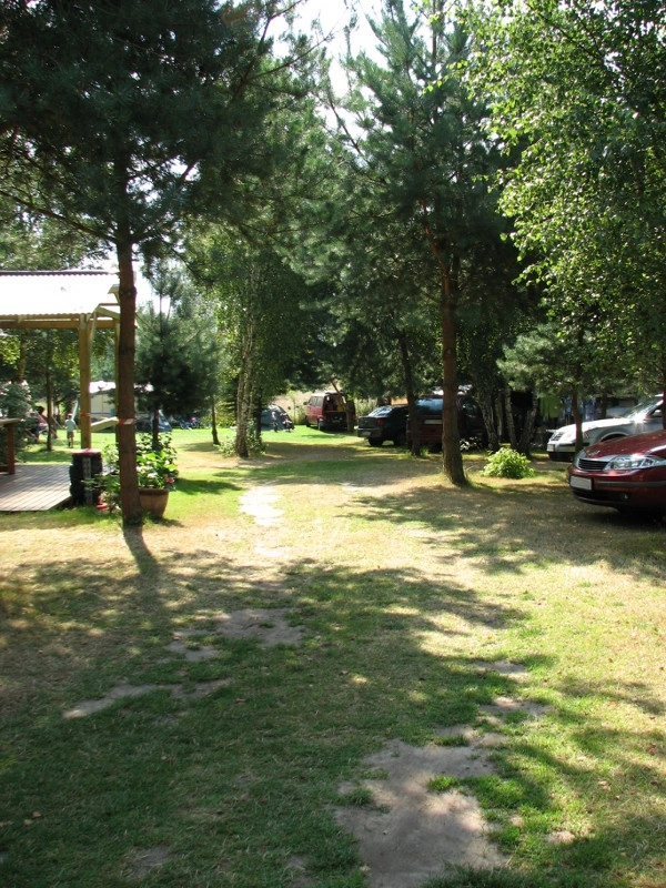 Galeria - zdjęcie 20