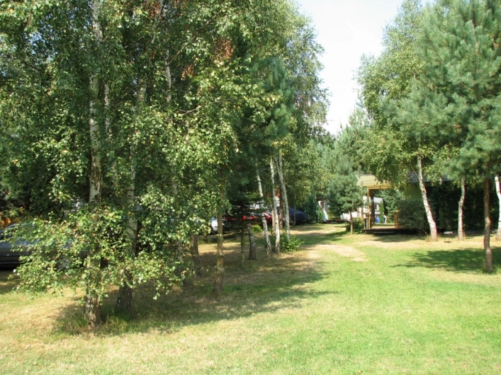 Galeria - zdjęcie 16