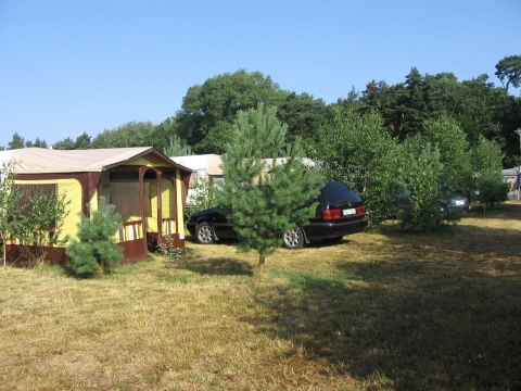 Galeria - zdjęcie 14