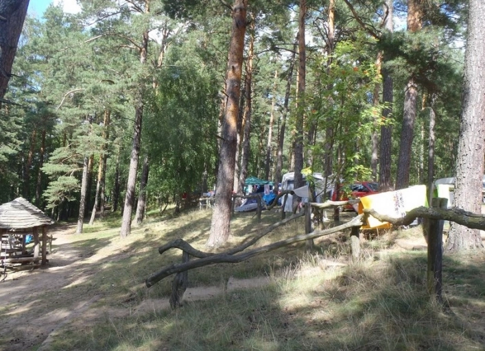 Galeria - zdjęcie 26