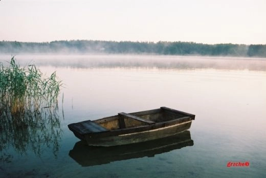 Pole Namiotowe RAJ  - zdjęcie 4