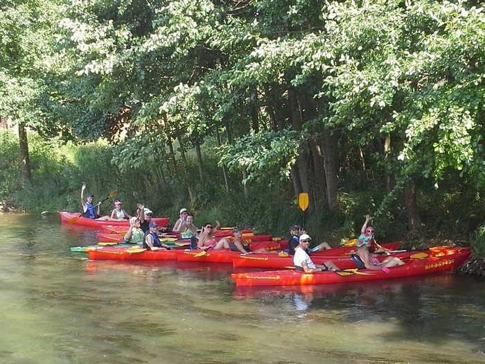 Galeria - zdjęcie 22