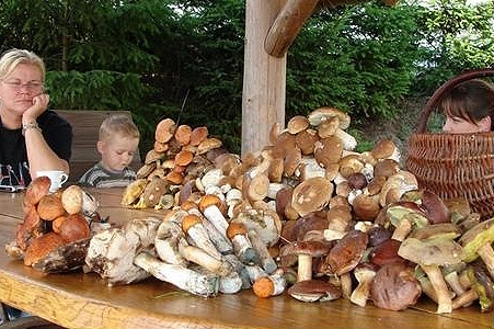 Galeria - zdjęcie 20