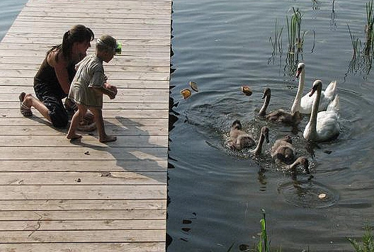 Galeria - zdjęcie 18