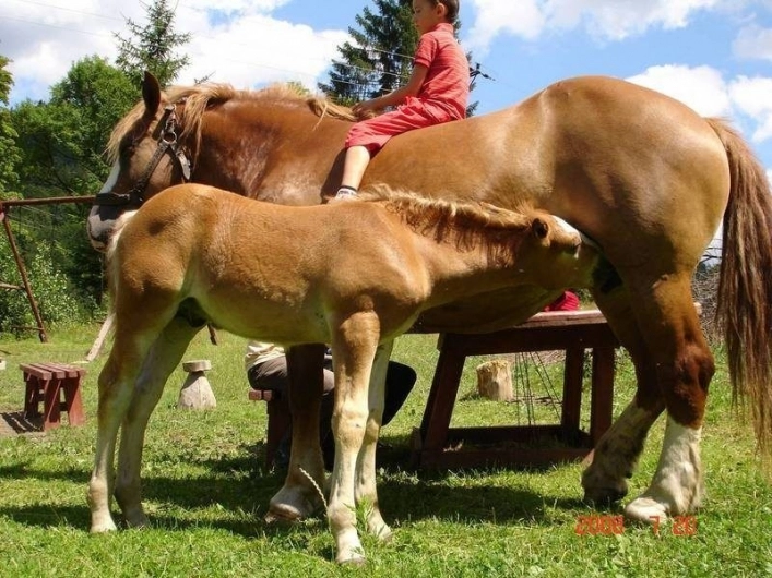 Galeria - zdjęcie 30