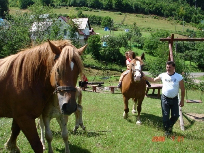 Galeria - zdjęcie 29