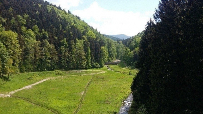 Galeria - zdjęcie 23