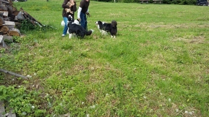 Galeria - zdjęcie 18