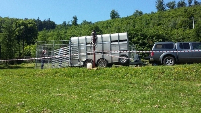 Galeria - zdjęcie 17