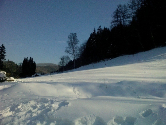 Galeria - zdjęcie 13