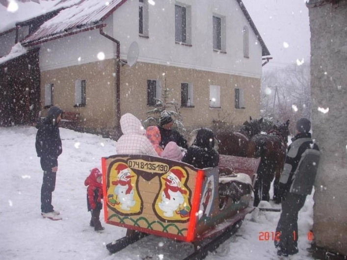 Galeria - zdjęcie 12