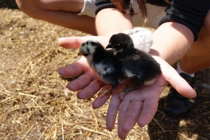 Galeria - zdjęcie 10