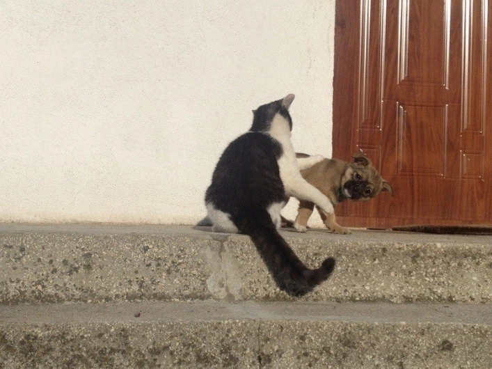 Galeria - zdjęcie 9