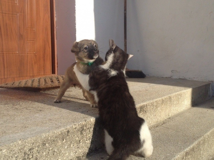 Galeria - zdjęcie 8