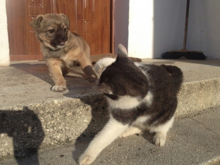 Galeria - zdjęcie 7