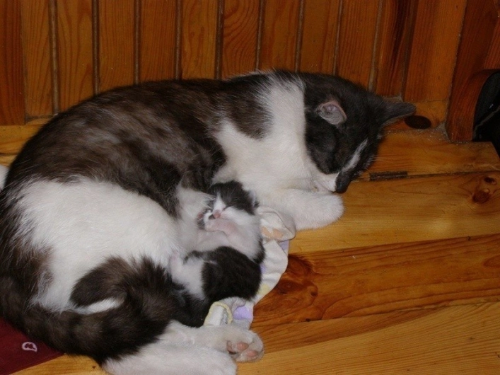 Wichrowe Wzgórza - zdjęcie 3