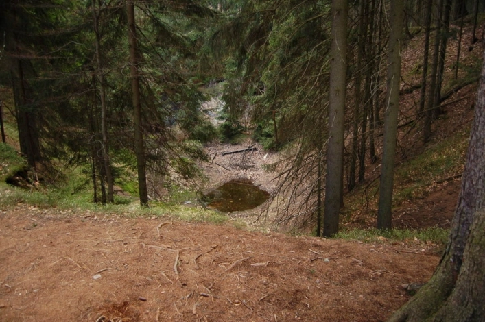 Galeria - zdjęcie 42