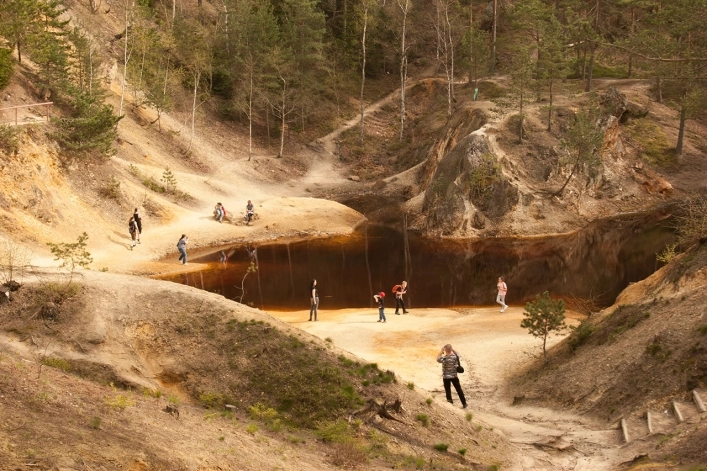 Galeria - zdjęcie 41