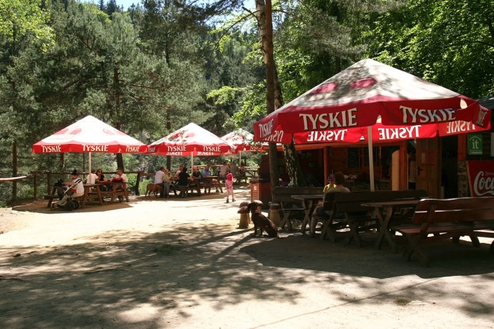 Galeria - zdjęcie 40