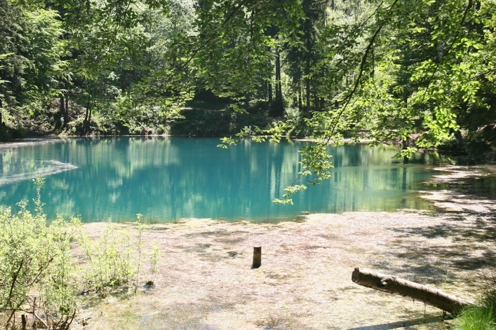 Galeria - zdjęcie 37