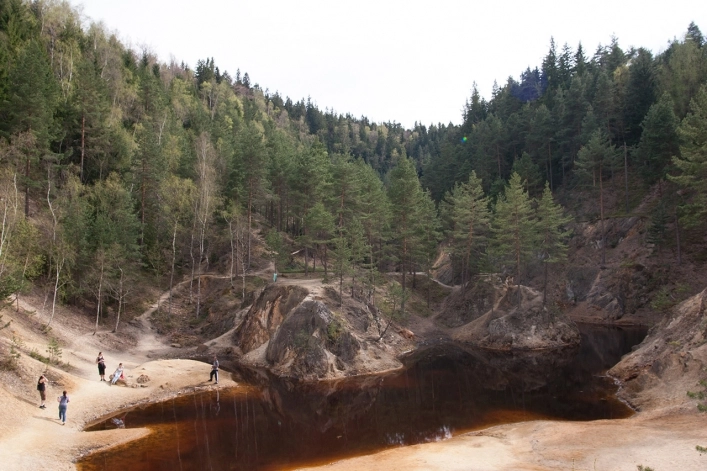 Galeria - zdjęcie 33