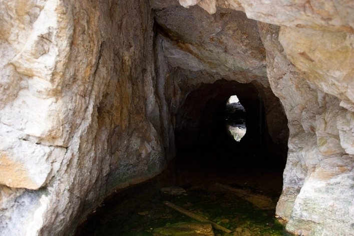 Galeria - zdjęcie 31