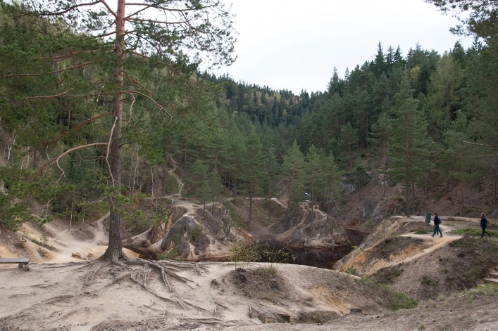 Galeria - zdjęcie 30