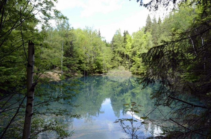 Galeria - zdjęcie 27