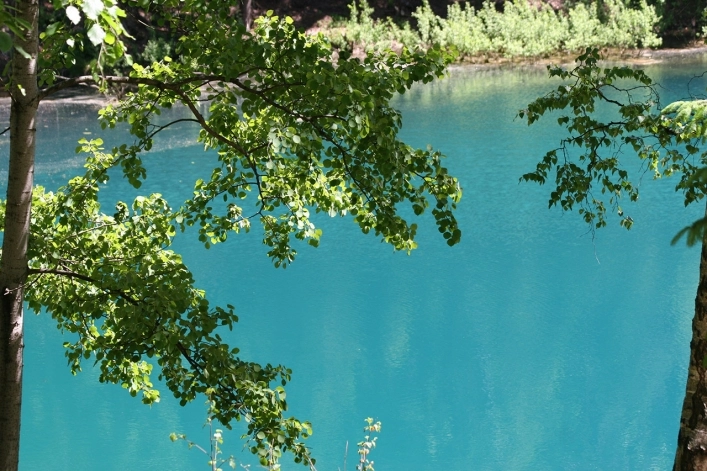 Galeria - zdjęcie 21