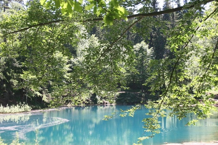 Galeria - zdjęcie 19