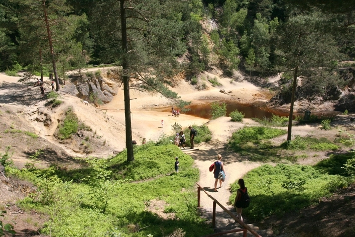 Galeria - zdjęcie 17