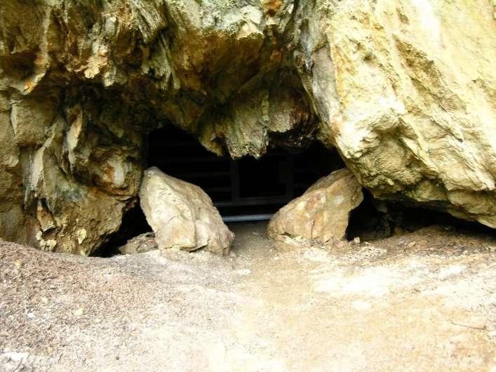 Galeria - zdjęcie 14