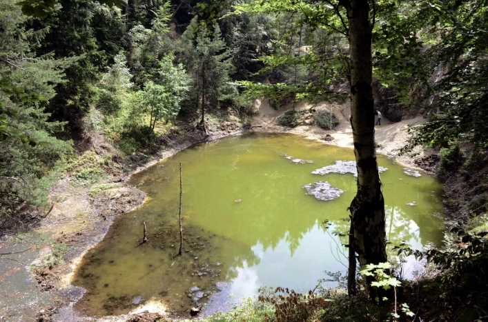 Galeria - zdjęcie 13