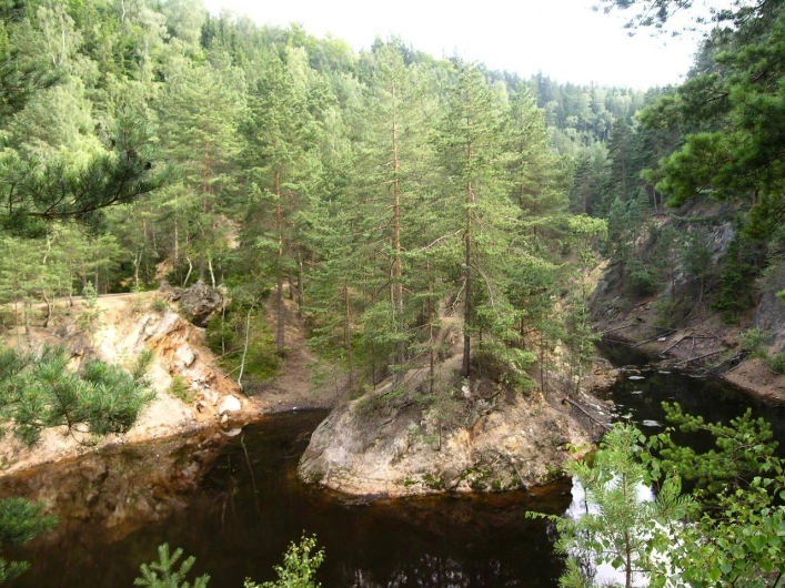 Galeria - zdjęcie 7