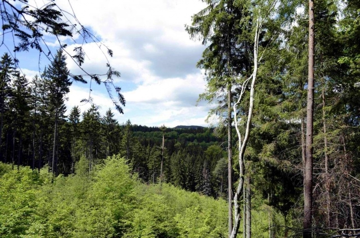 Kolorowe Jeziorka  - zdjęcie 4