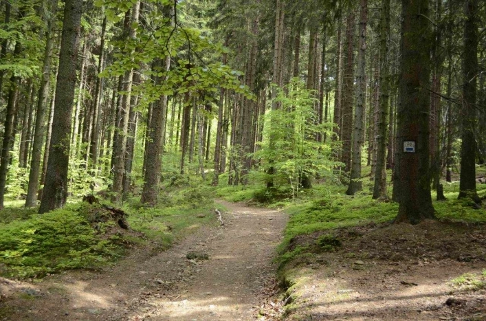 Kolorowe Jeziorka  - zdjęcie 3