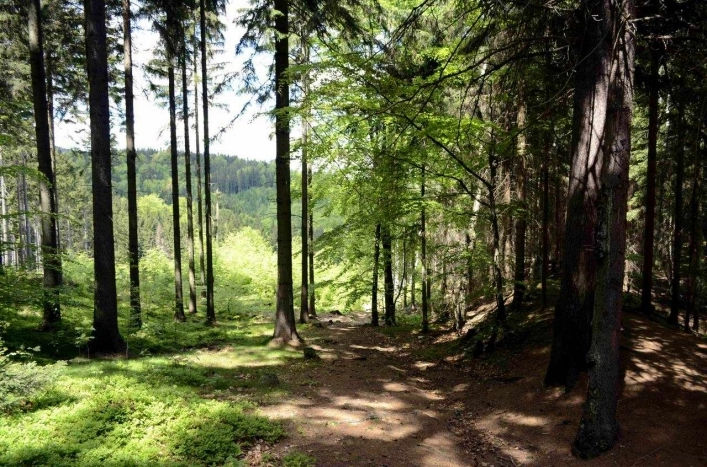 Kolorowe Jeziorka  - zdjęcie 2